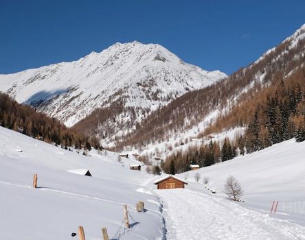 altfasstal-winter