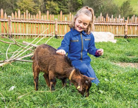 -rotwild-tiere-und-kinder5684