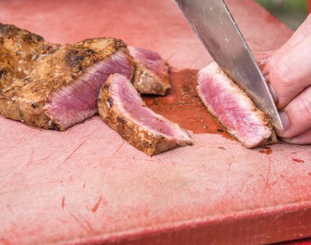 -rotwild-alm-grillen-1451