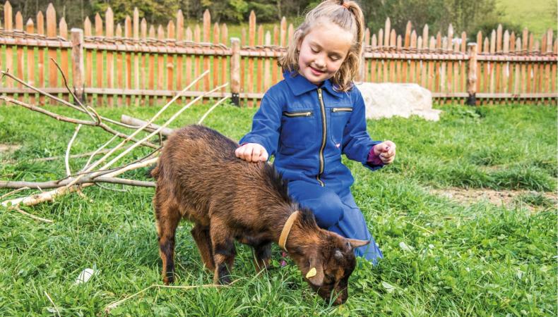 -rotwild-tiere-und-kinder5684